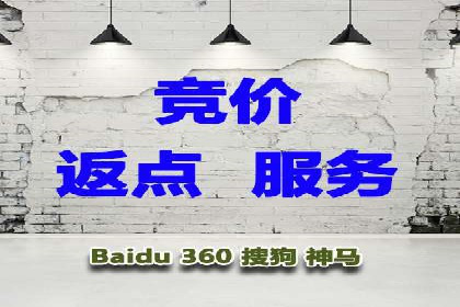 视频教程：通过SEM推广实现快速引流